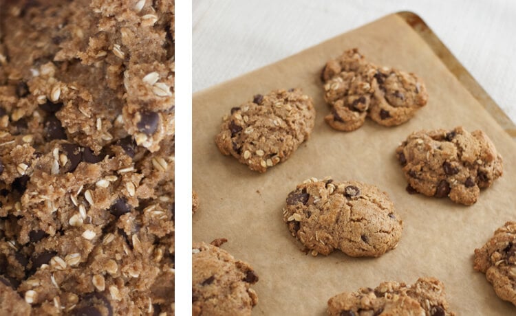 whole grain chocolate chip cookie recipe whole grain chocolate chip cookie recipe