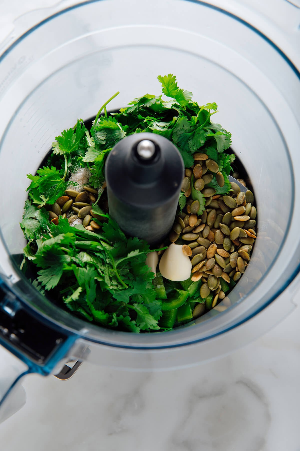 cilantro pesto in food processor