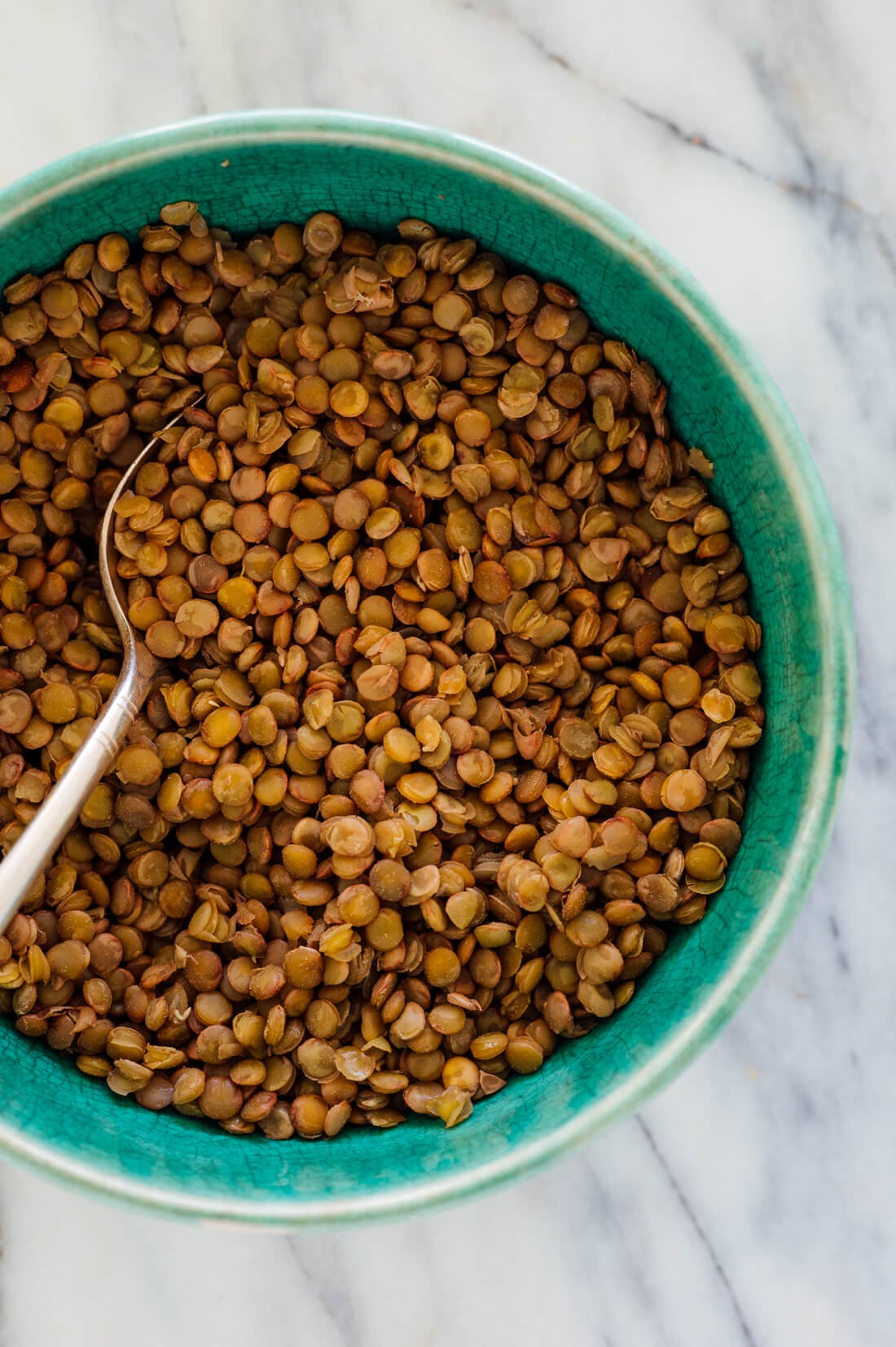 basic brown lentils